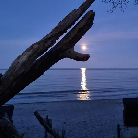 Baldur - Odins Blick 14 - Traumhafte Maisonette Wohnung, Privatstrand Und Sauna Lägenhet *